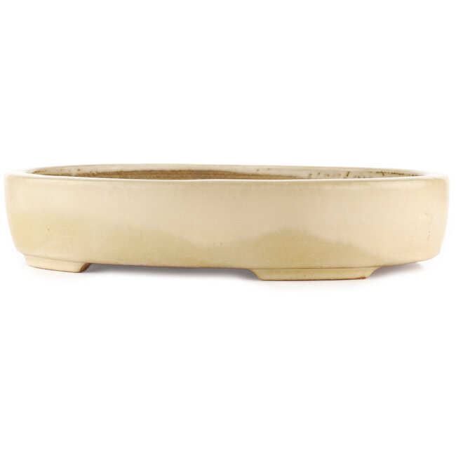 Vaso bonsai ovale bianco sporco di Hattori - 370 x 285 x 70 mm