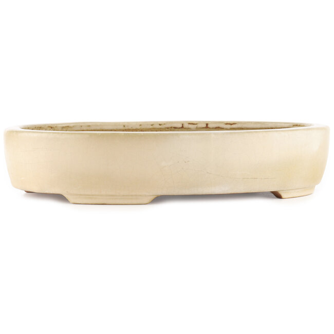 Oval off-white bonsai pot by Hattori - 370 x 285 x 70 mm