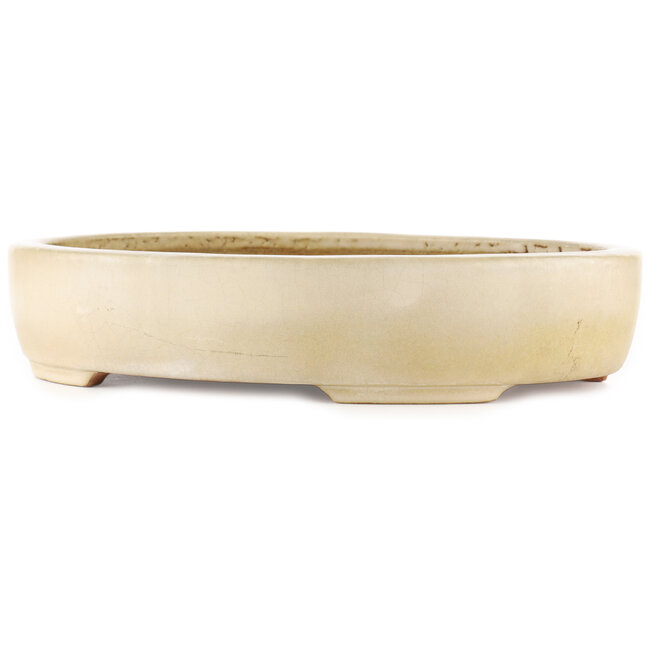 Pot à bonsaï ovale blanc cassé de Hattori - 370 x 285 x 70 mm