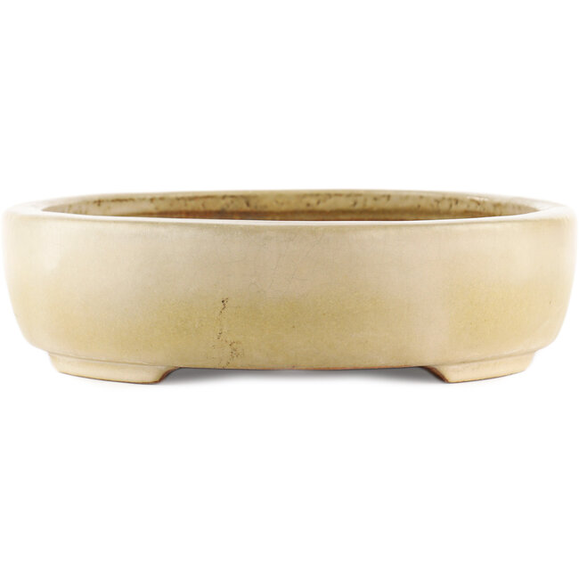 Vaso bonsai ovale bianco sporco di Hattori - 370 x 285 x 70 mm