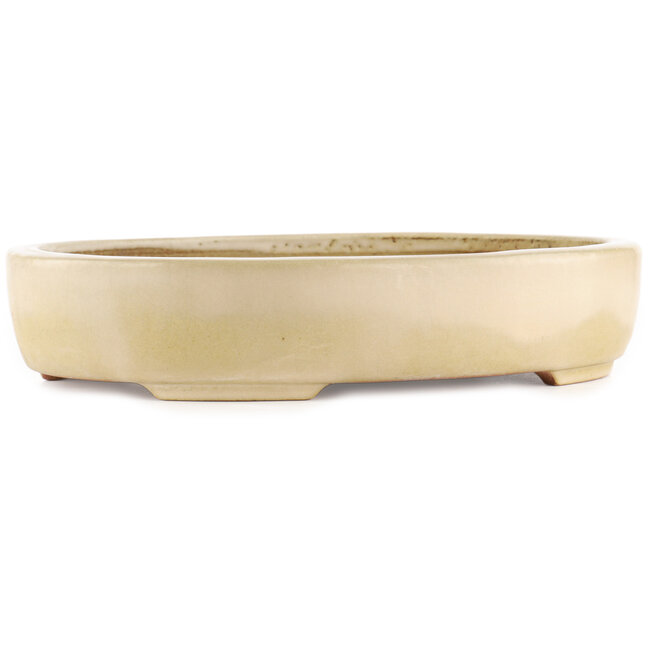 Vaso bonsai ovale bianco sporco di Hattori - 370 x 285 x 70 mm