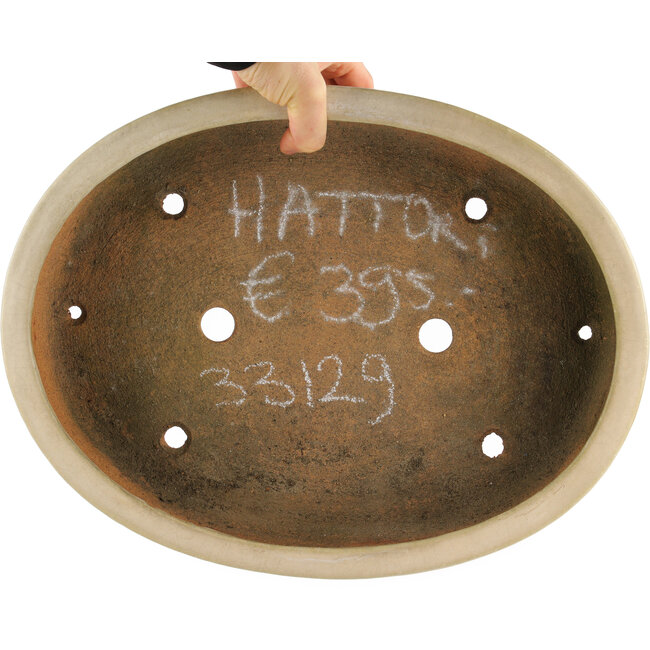 Pot à bonsaï ovale blanc cassé de Hattori - 370 x 285 x 70 mm