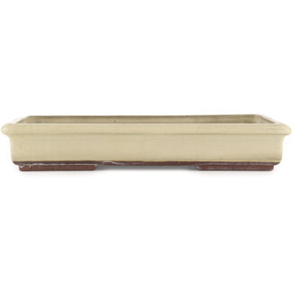  Other Tokoname bonsai pot makers Pot à bonsaï rectangulaire blanc cassé de 340 mm par Tokoname, Tokoname