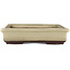 Maceta rectangular para bonsái de color blanco roto de Tokoname - 340 x 250 x 50 mm