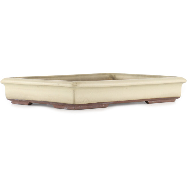 Rectangular off-white bonsai pot by Tokoname - 340 x 250 x 50 mm