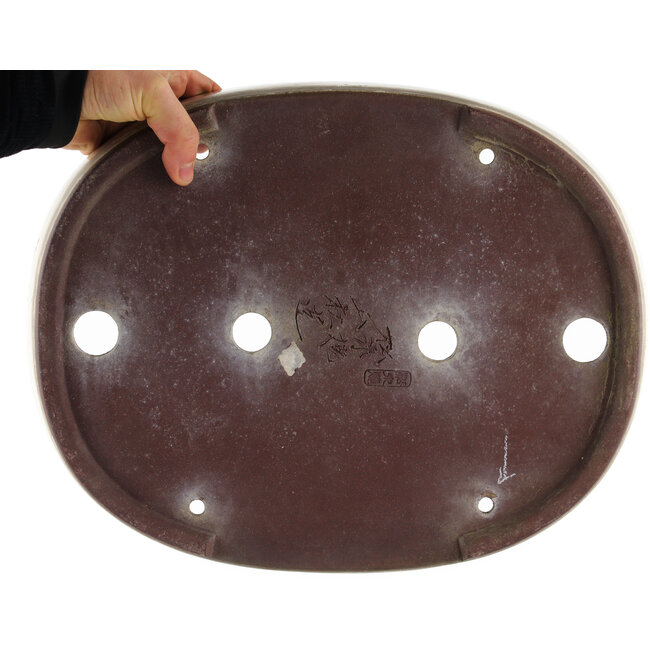 Ovale witte bonsai pot van Yamaaki - 365 x 285 x 70 mm