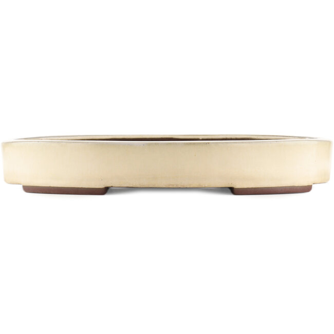 Maceta ovalada blanca para bonsái de Yamaaki - 410 x 290 x 60 mm