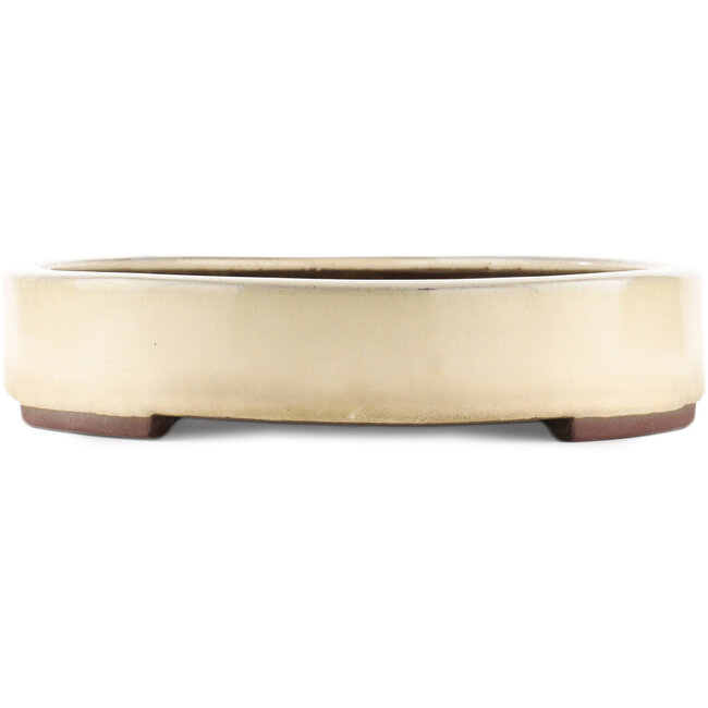 Oval white bonsai pot by Yamaaki - 410 x 290 x 60 mm