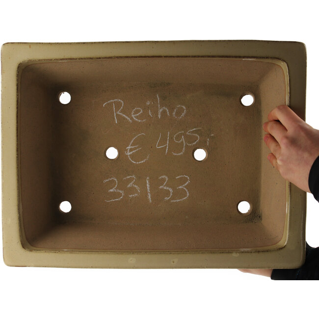 Maceta rectangular beige para bonsái de Reiho - 375 x 280 x 105 mm