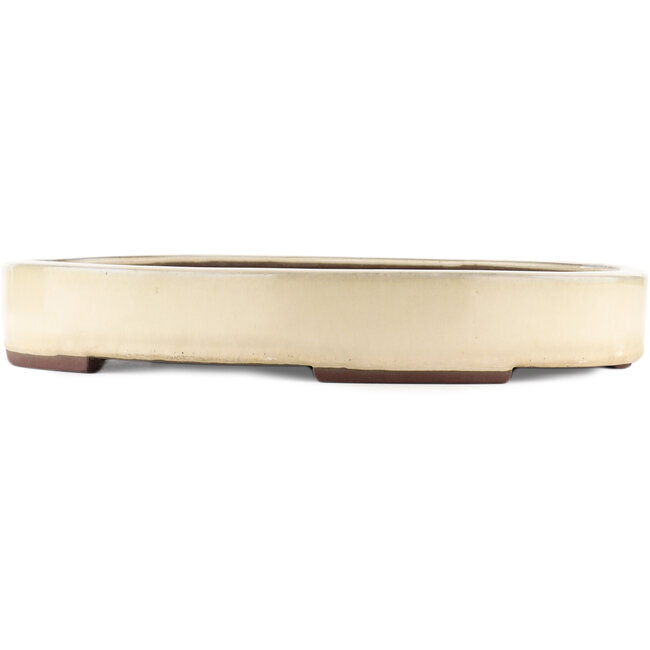 Oval white bonsai pot by Yamaaki - 410 x 290 x 60 mm