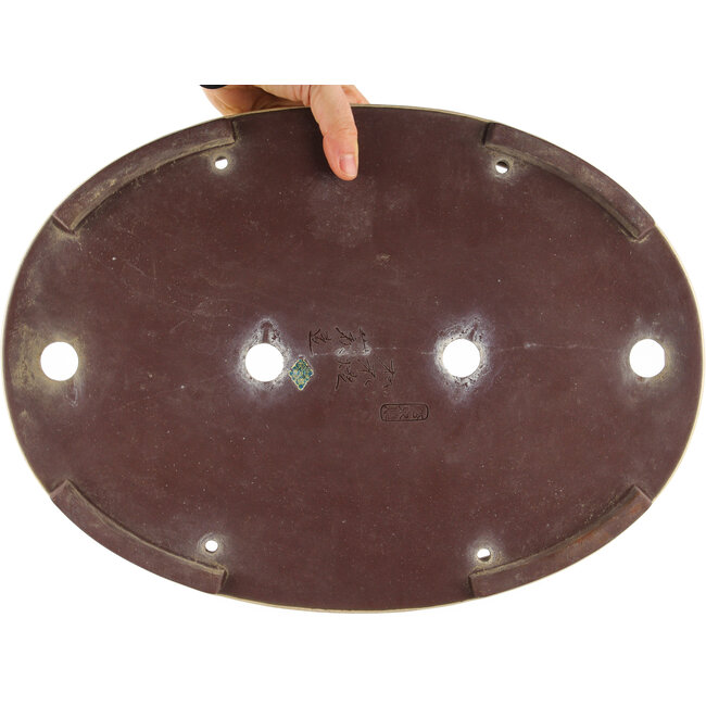 Pot à bonsaï ovale blanc de Yamaaki - 410 x 290 x 60 mm