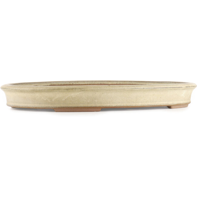 Ovale beige bonsai pot van Hekisui - 470 x 340 x 50 mm