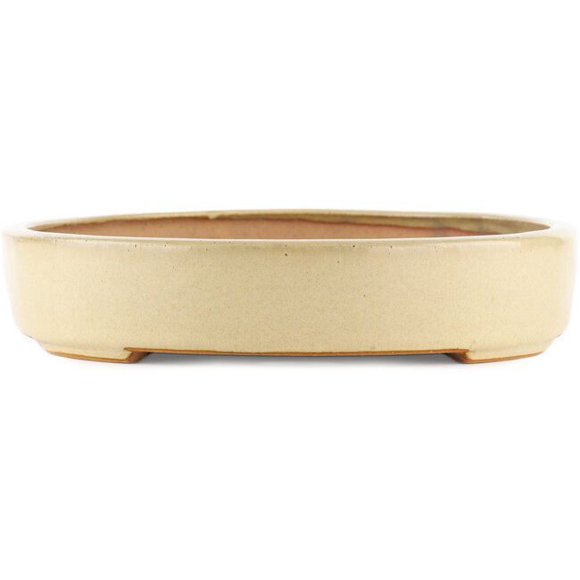 Oval beige  bonsai pot by Reiho - 345 x 255 x 50 mm