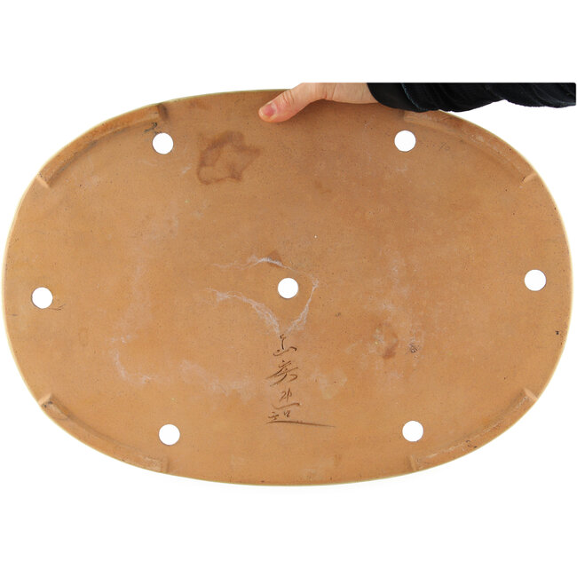 Pot à bonsaï ovale beige de Yamafusa - 465 x 325 x 35 mm
