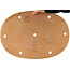 Maceta ovalada beige para bonsái de Yamafusa - 465 x 325 x 35 mm