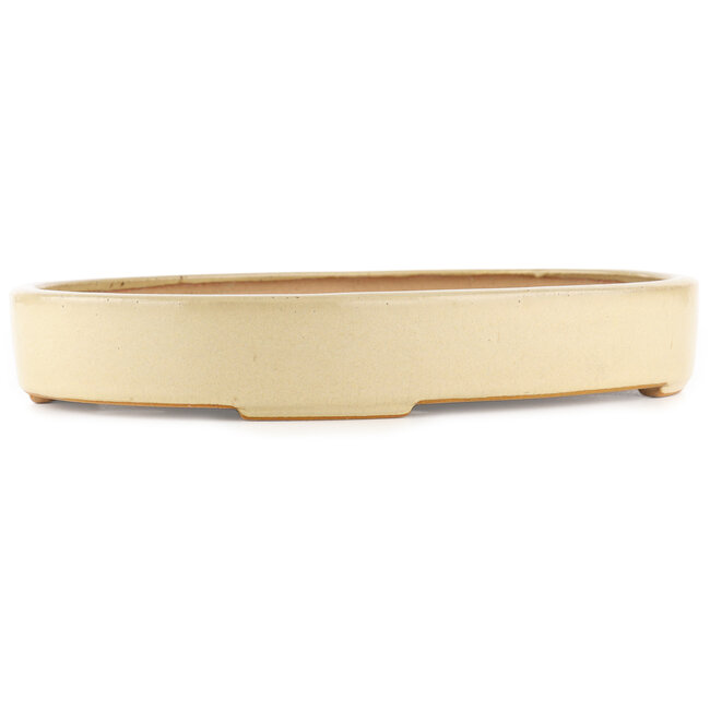 Oval beige  bonsai pot by Reiho - 345 x 255 x 50 mm