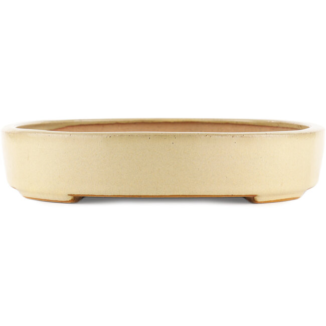 Maceta ovalada beige para bonsái de Reiho - 345 x 255 x 50 mm