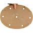 Maceta ovalada beige para bonsái de Reiho - 345 x 255 x 50 mm