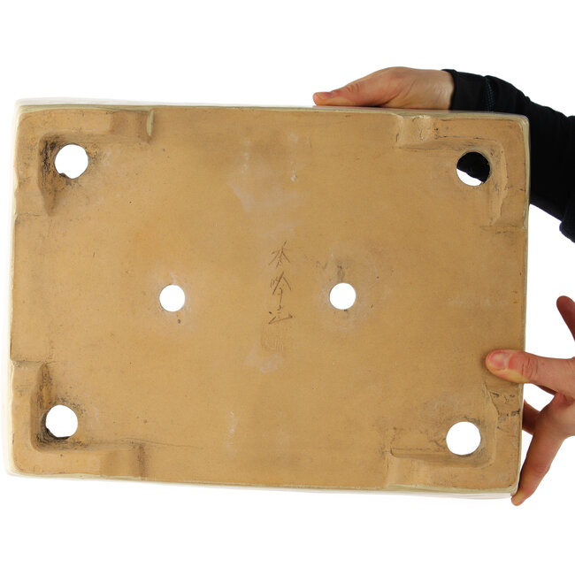 Maceta rectangular beige para bonsái de Shuhou - 375 x 275 x 100 mm