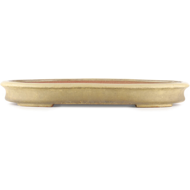 Oval beige  bonsai pot by Reiho - 500 x 360 x 55 mm