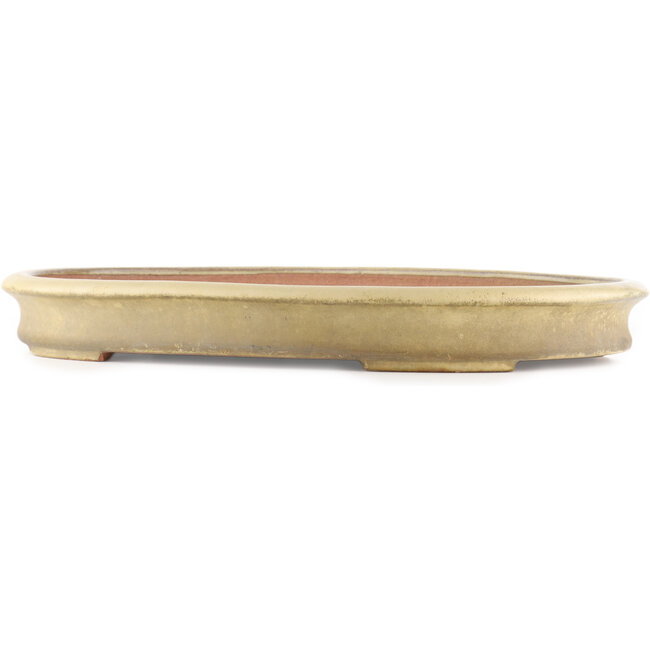 Oval beige  bonsai pot by Reiho - 500 x 360 x 55 mm