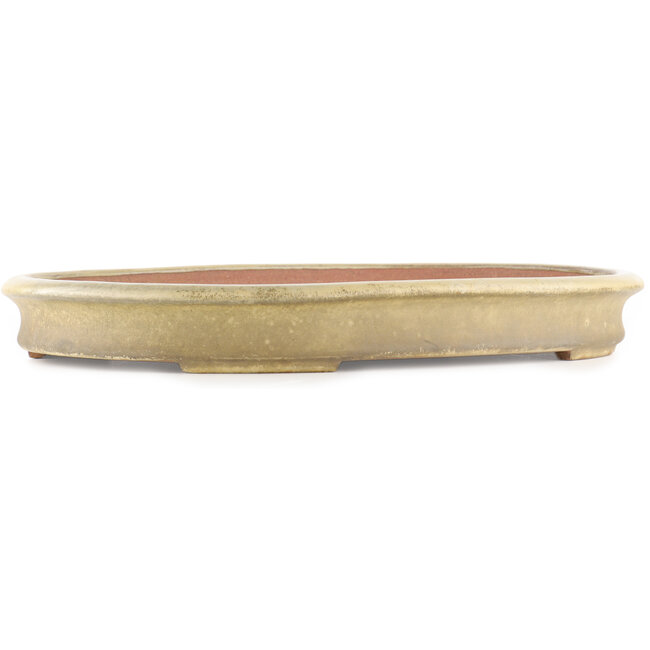 Oval beige  bonsai pot by Reiho - 500 x 360 x 55 mm