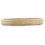 Oval beige  bonsai pot by Reiho - 500 x 360 x 55 mm