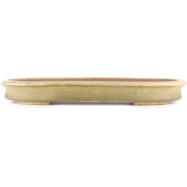 Pot à bonsaï ovale beige de Reiho - 500 x 360 x 55 mm