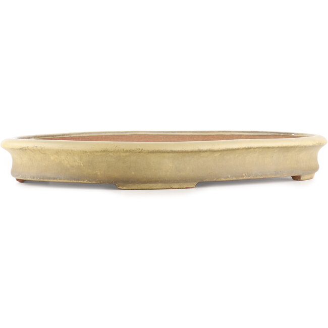 Oval beige  bonsai pot by Reiho - 500 x 360 x 55 mm