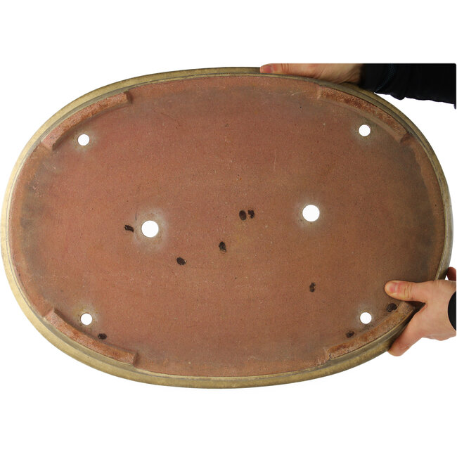 Pot à bonsaï ovale beige de Reiho - 500 x 360 x 55 mm