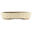 Oval beige  bonsai pot by Shuhou - 350 x 255 x 45 mm