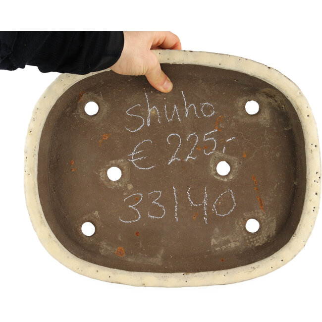 Maceta ovalada beige para bonsái de Shuhou - 350 x 255 x 45 mm
