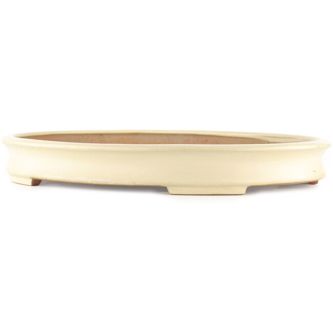 Maceta ovalada blanca para bonsái de Yamafusa - 465 x 350 x 60 mm