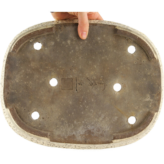 Maceta ovalada beige para bonsái de Shuhou - 350 x 255 x 45 mm