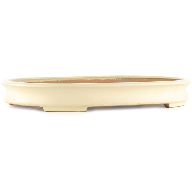 Maceta ovalada blanca para bonsái de Yamafusa - 465 x 350 x 60 mm