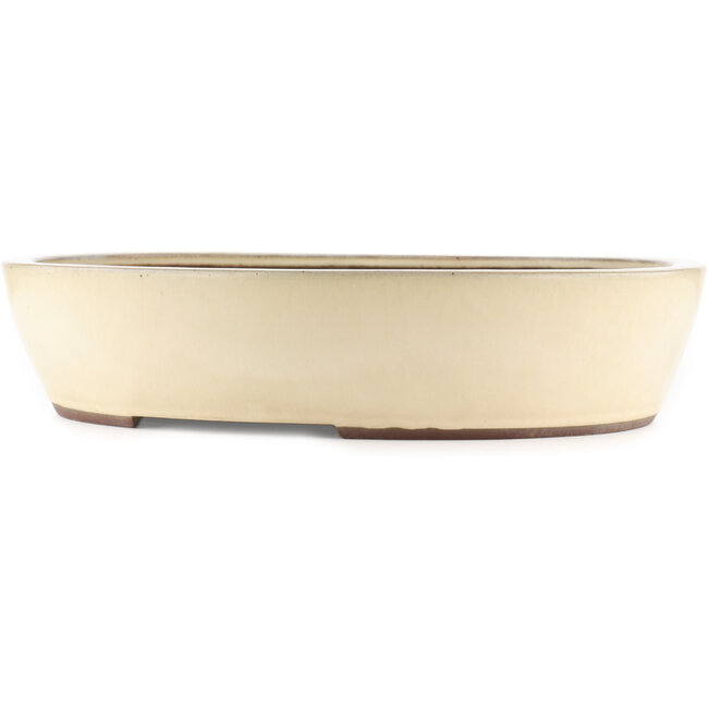 Pot à bonsaï ovale blanc de Yamaaki - 475 x 400 x 100 mm