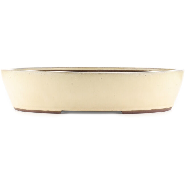 Oval white bonsai pot by Yamaaki - 475 x 400 x 100 mm