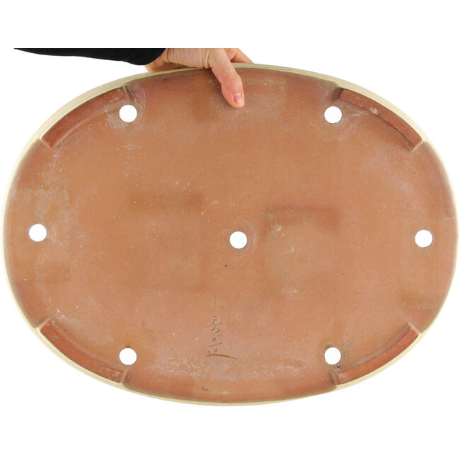 Maceta ovalada blanca para bonsái de Yamafusa - 465 x 350 x 60 mm