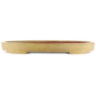  Kakuzan Pot à bonsaï ovale jaune de 555 mm par Kakuzan, Tokoname, Japon