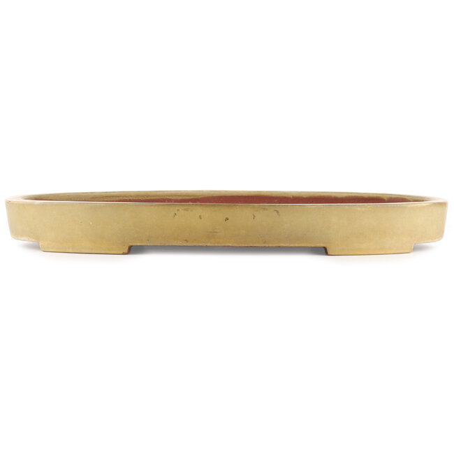 Oval yellow bonsai pot by Kakuzan - 555 x 405 x 55 mm