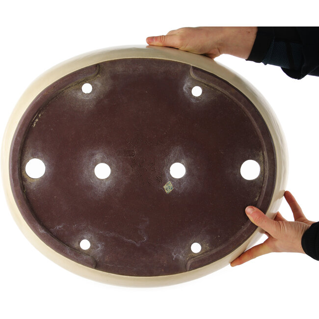 Pot à bonsaï ovale blanc de Yamaaki - 475 x 400 x 100 mm