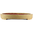 Pot à bonsaï ovale jaune de Kakuzan - 555 x 405 x 55 mm