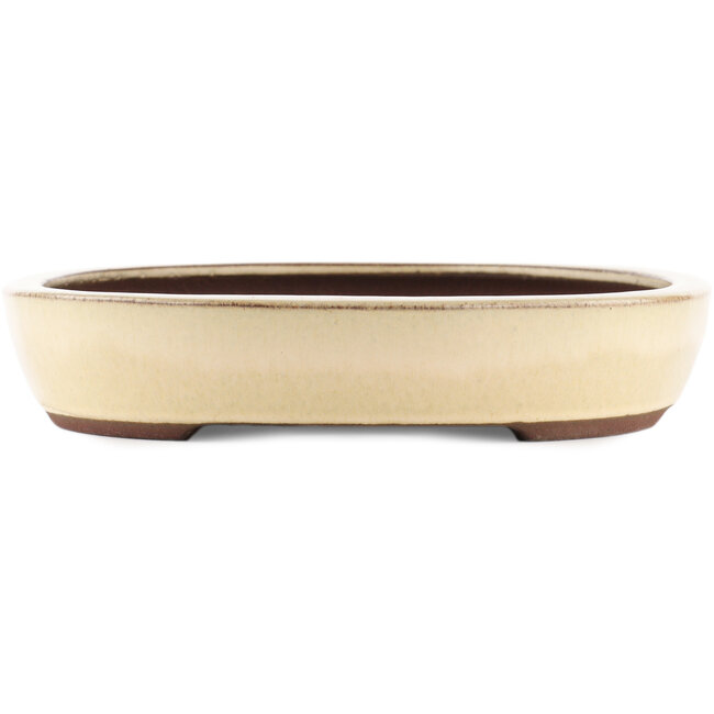 Pot à bonsaï ovale blanc de Yamaaki - 370 x 290 x 55 mm