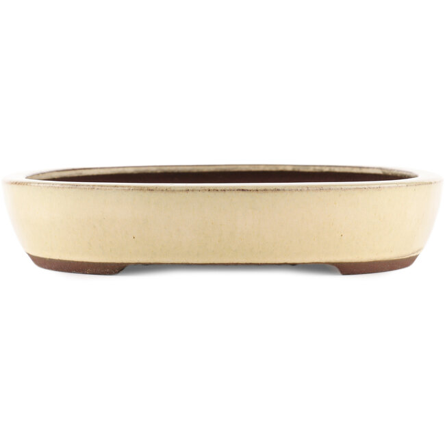 Vaso bonsai ovale bianco di Yamaaki - 370 x 290 x 55 mm