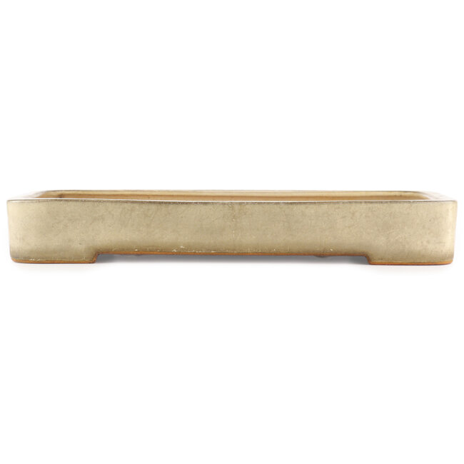 Maceta rectangular beige para bonsái de Reiho - 465 x 315 x 60 mm