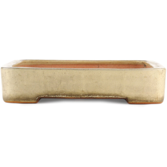 Rectangular beige  bonsai pot by Reiho - 465 x 315 x 60 mm