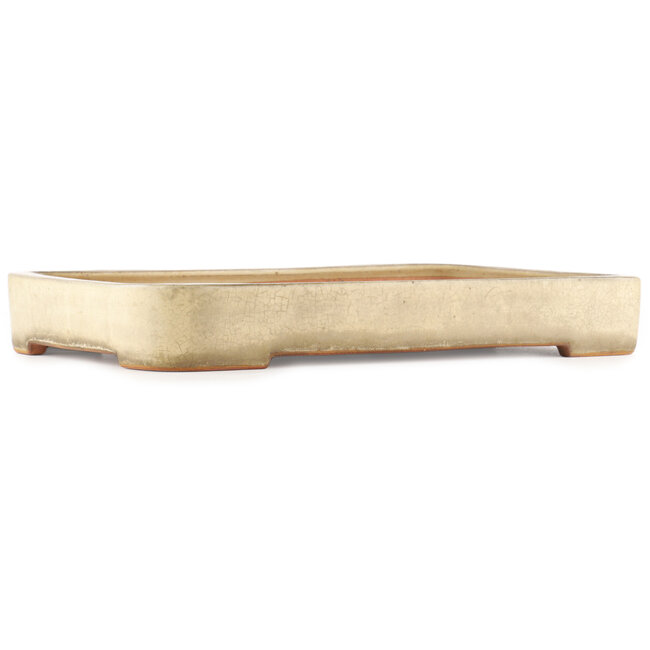 Pot à bonsaï rectangulaire beige de Reiho - 465 x 315 x 60 mm