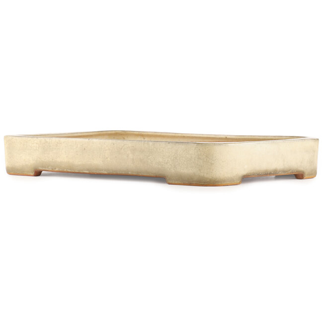 Pot à bonsaï rectangulaire beige de Reiho - 465 x 315 x 60 mm