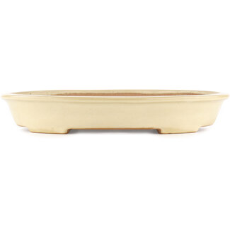 Yamafusa - Takehiko Koie 340 mm oval beige  bonsai pot by Yamafusa, Tokoname, Japan