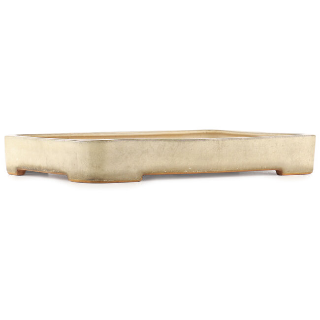 Rechteckiger beiger Bonsaitopf von Reiho - 465 x 315 x 60 mm